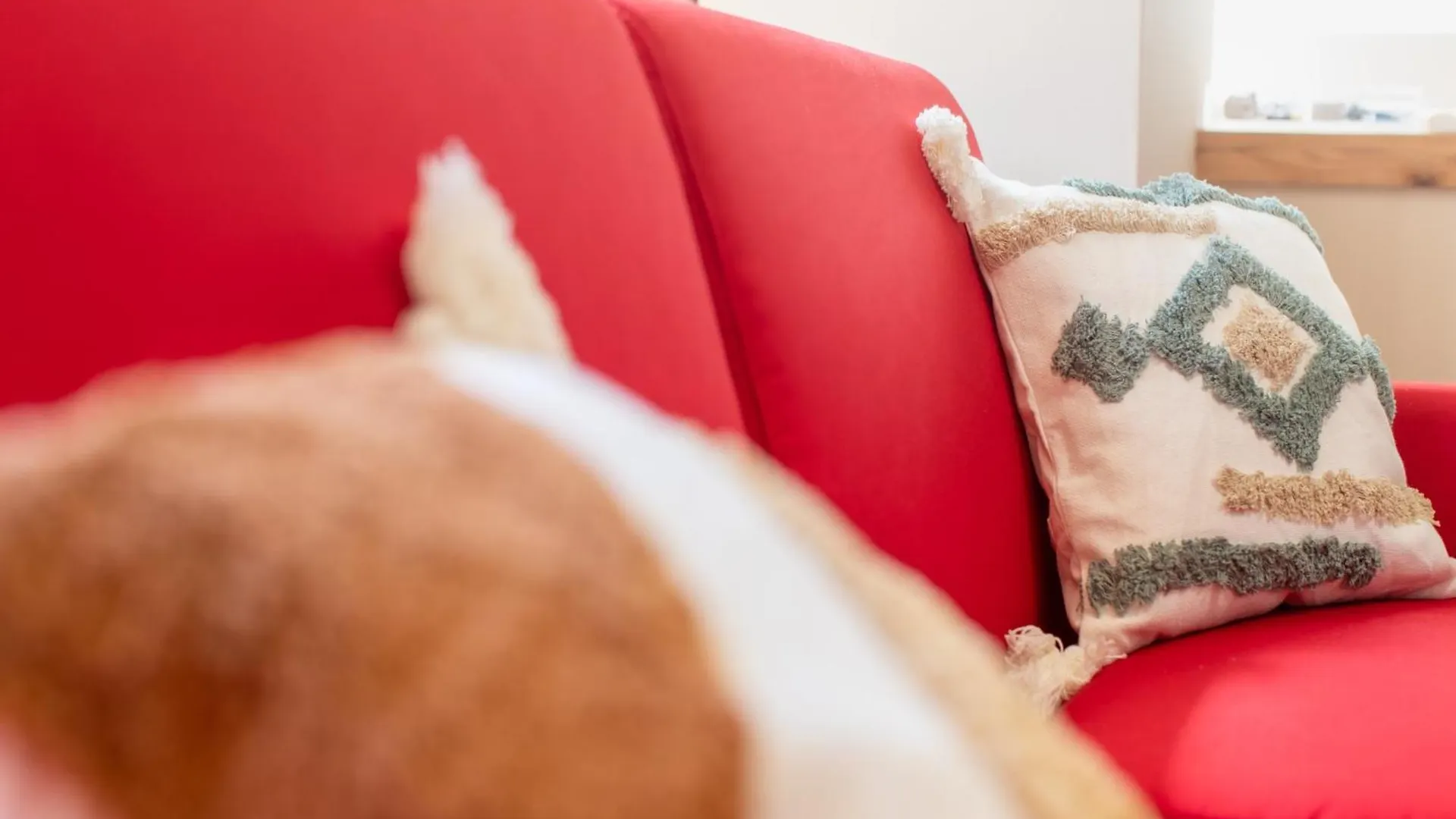 Apartamento Okubo Sta10Min Walk/ Shinjyuku Sta 2Min/85 ㎡/3Ldk Tokio 0*,