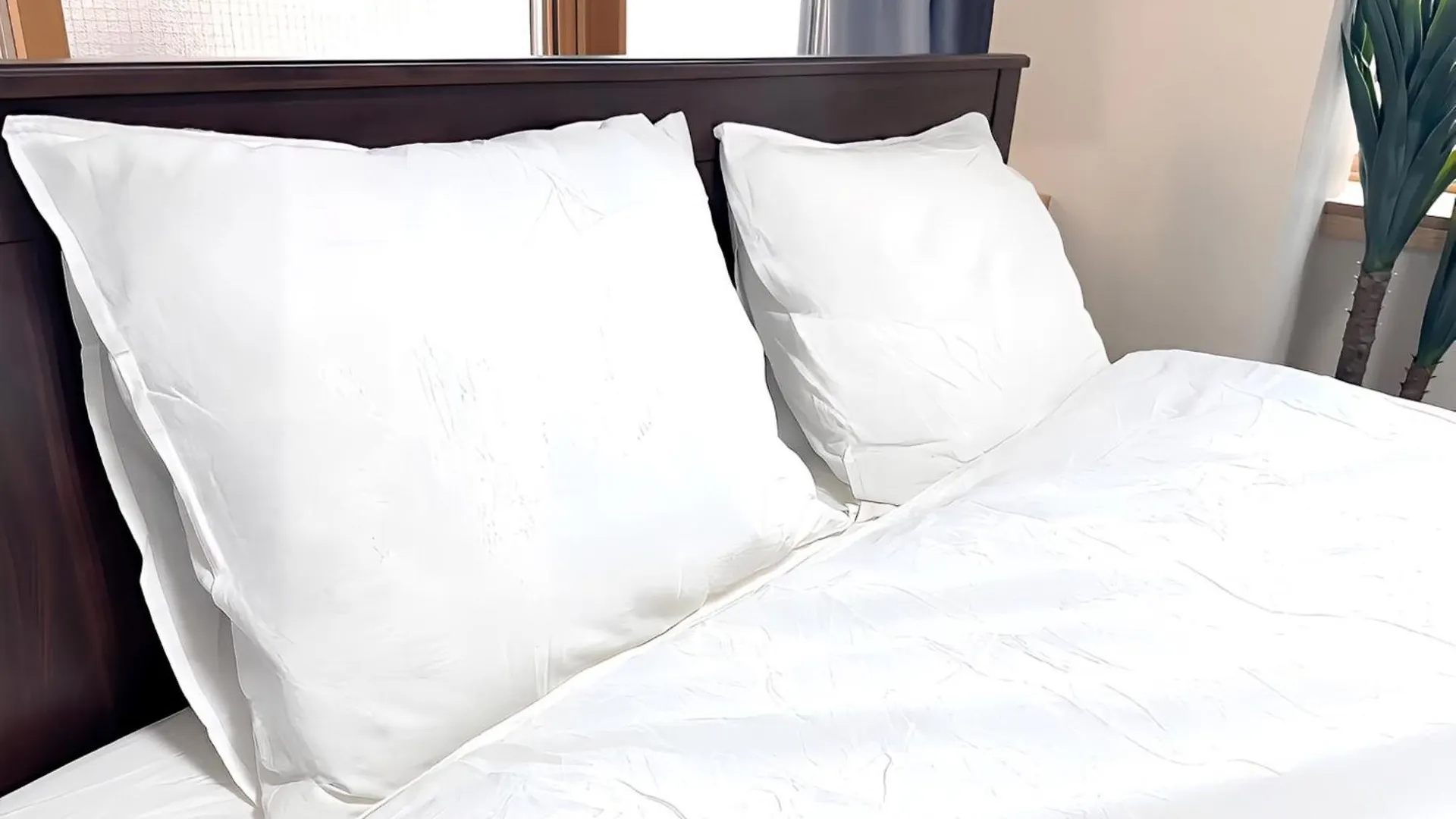 Apartamento Okubo Sta10Min Walk/ Shinjyuku Sta 2Min/85 ㎡/3Ldk Tokio Japón
